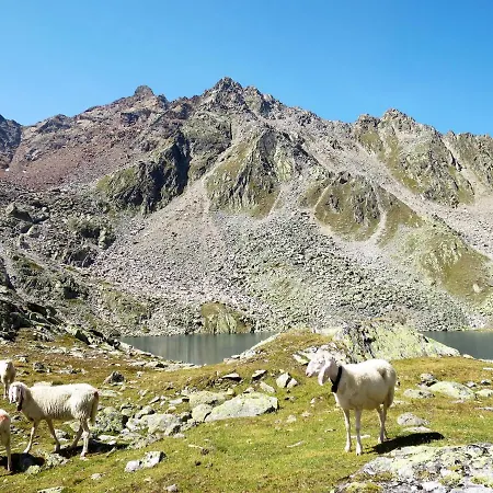 Alpin.5 * Зёльден